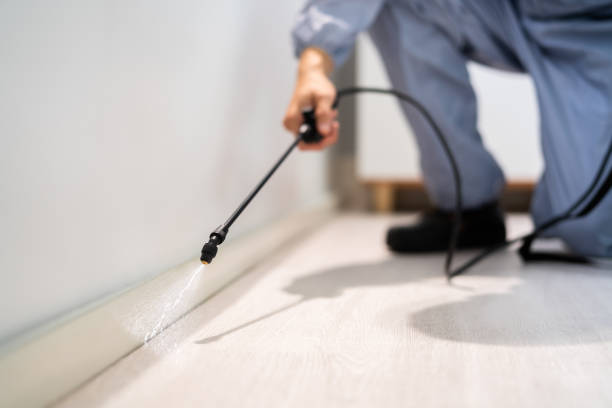 Certified termite inspector examining foundation in Donna