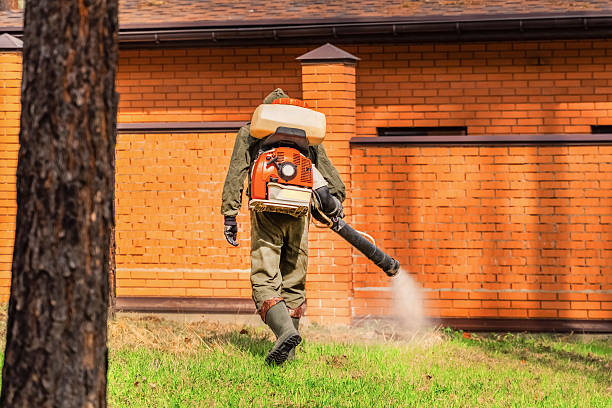 Bed Bug Clearance Verification and Documentation in Donna